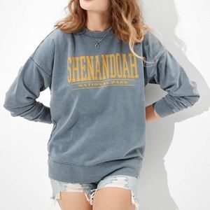 COPY - AE sweatshirt